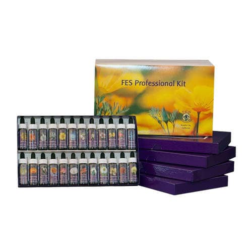FES Quintessentials Kit